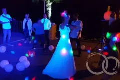 Leos-8