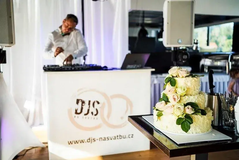dj na svatbu cena