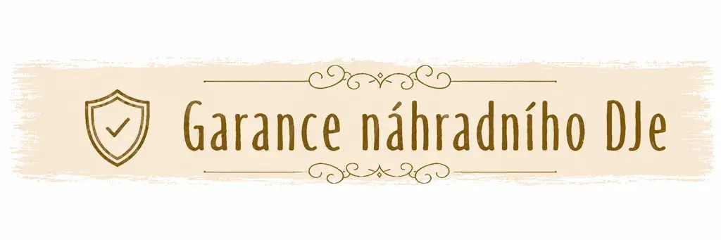 Garance náhradního DJe pro svatbu a akci od DJs-nasvatbu.cz
